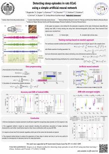 Detecting sleep episodes in rats ECoG using a simple artificial neural network