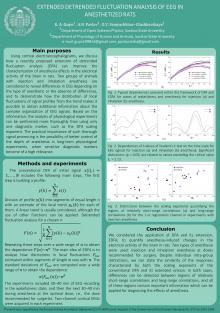 Extended detrended fluctuation analysis of eeg in andestehetized rats