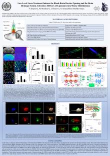 Low-Level Laser Treatment Induces the Blood-Brain Barrier Opening and the Brain  Drainage System Activation: Delivery of Liposomes into Mouse Glioblastoma