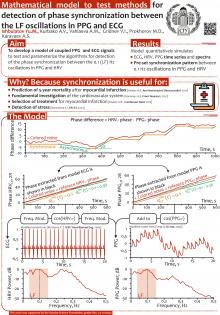 Mathematical model to test methods for detection of phase synchronization between the LF oscillations in PPG and RGG